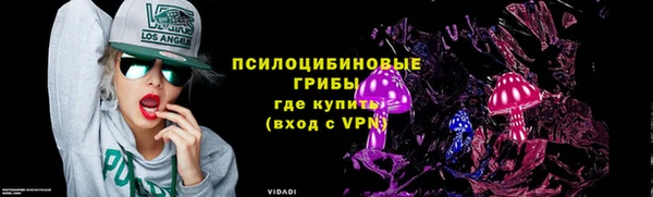 шишки Алексеевка