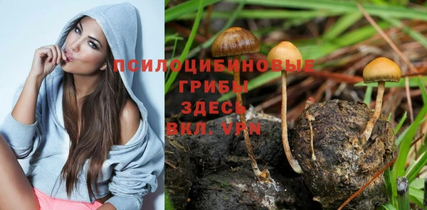 шишки Алексеевка
