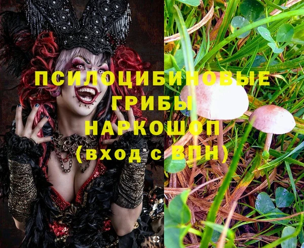 ПСИЛОЦИБИНОВЫЕ ГРИБЫ Алексин
