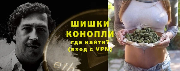 ПСИЛОЦИБИНОВЫЕ ГРИБЫ Алексин