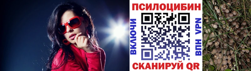 Псилоцибиновые грибы Psilocybine cubensis  где купить наркоту  Харовск 